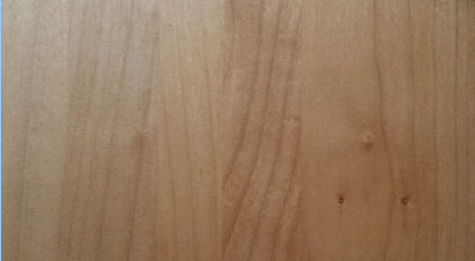 Maple | Honey